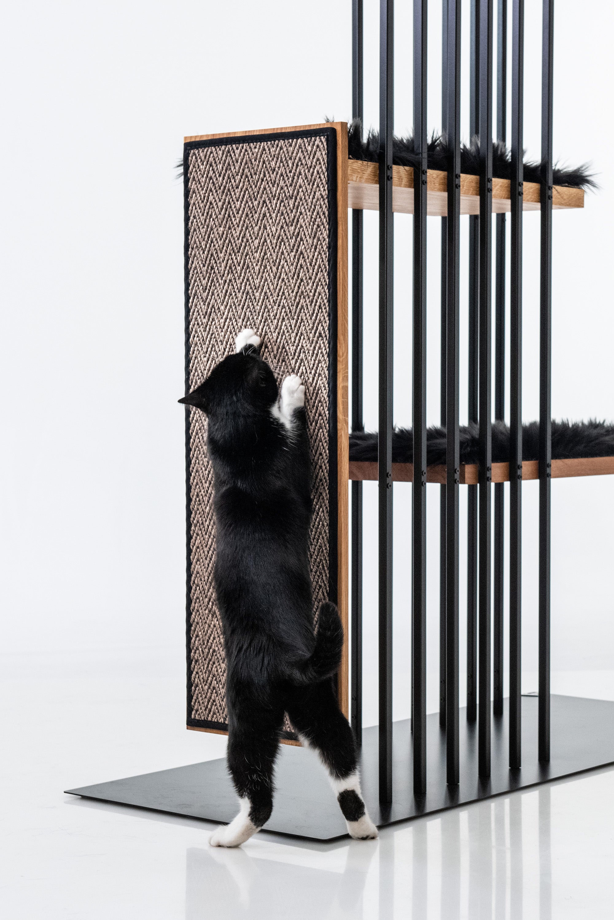STYA Katzen Kratzbaum MS210 | Schwarz