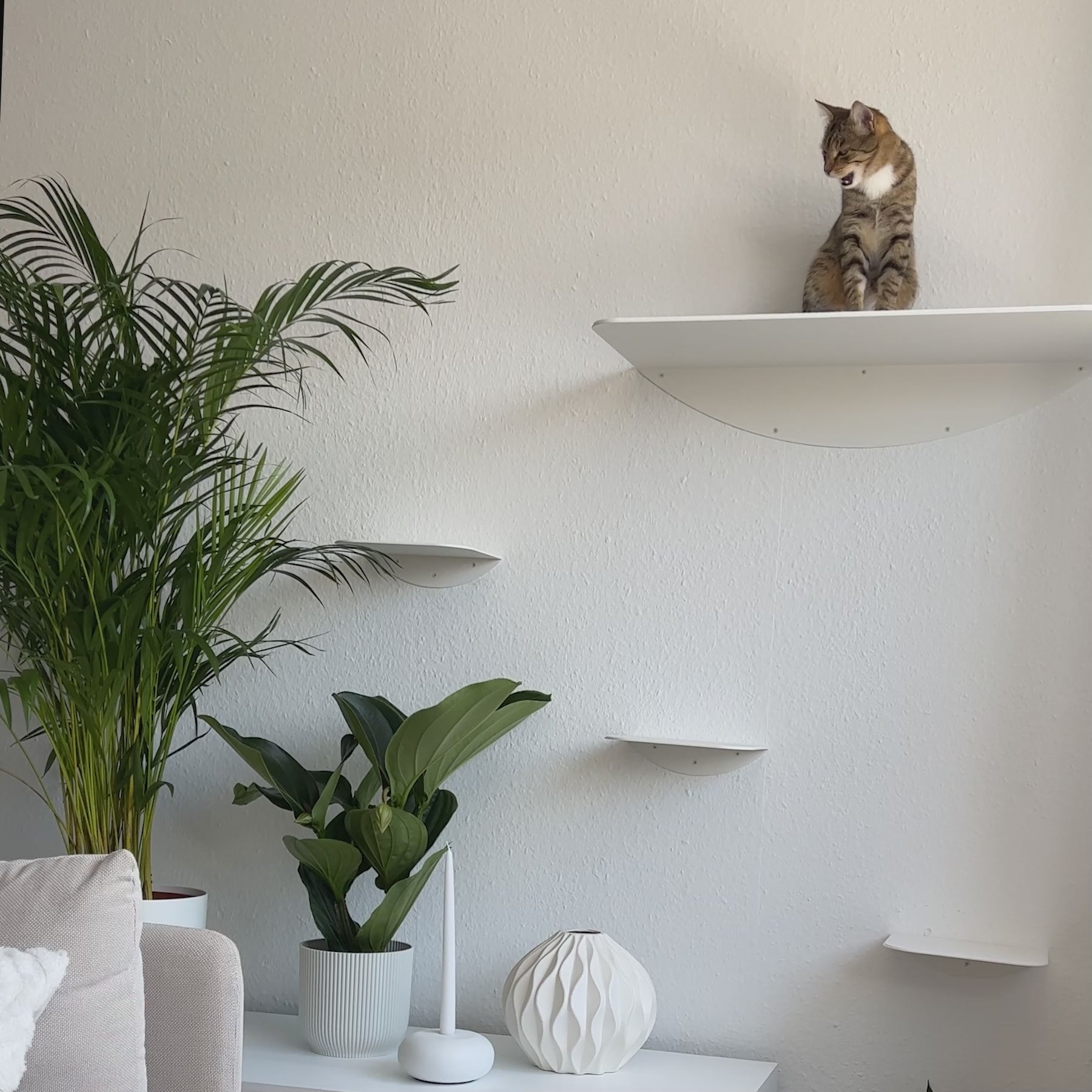 STYA Katzen Kletterwand | Set Minimalist Wandliege XXL | Linie WL100