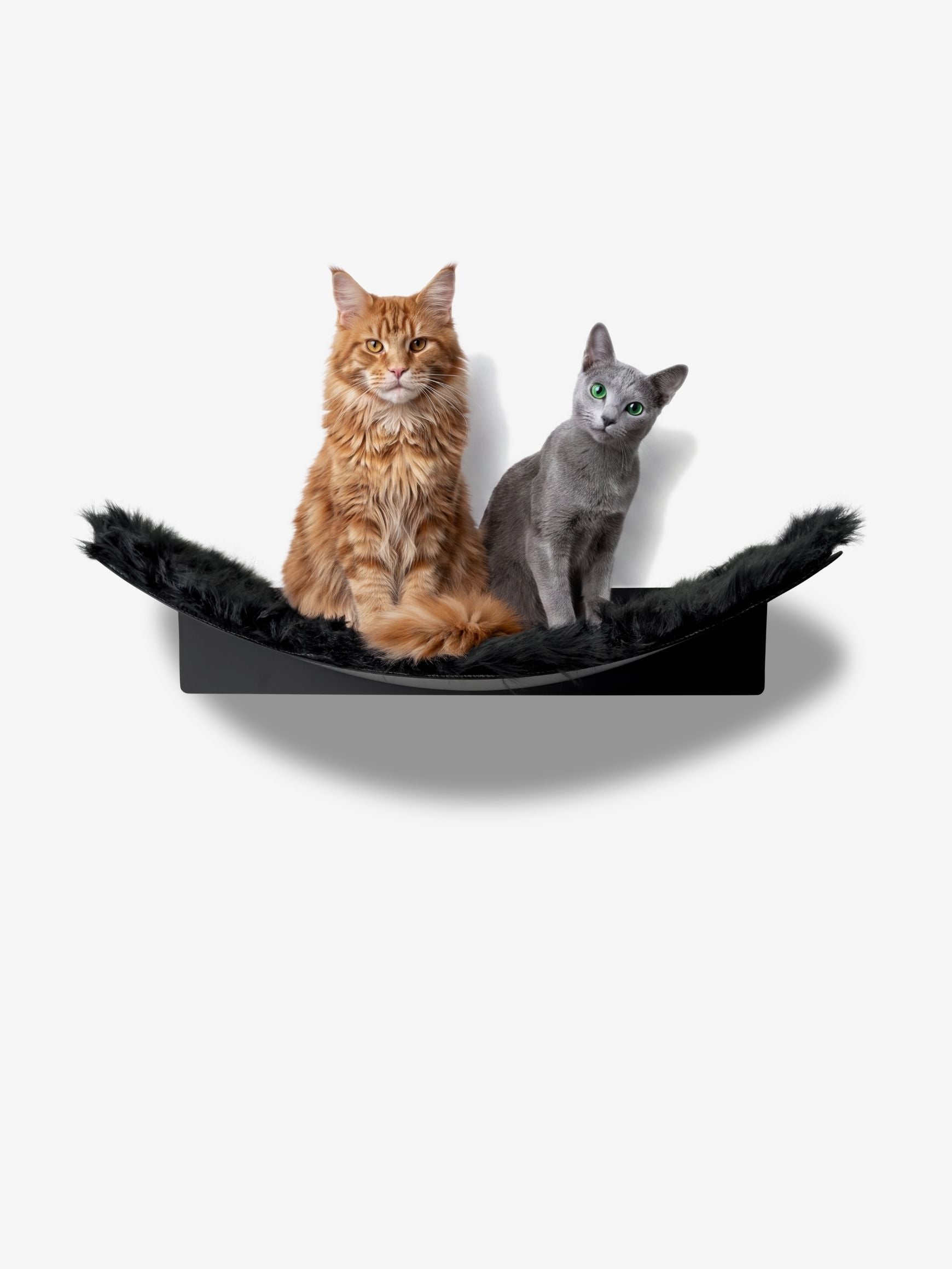 Design Katzen Hängematte WL 370, Maine Coon, XXL, aus Metall, Katzenkletterwand