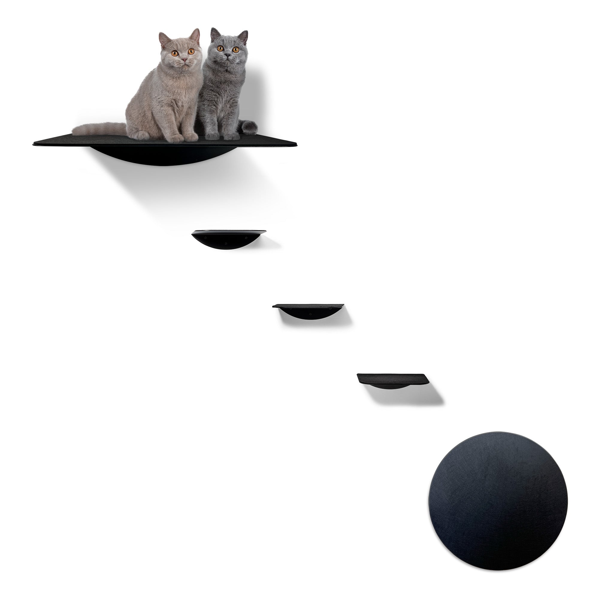 STYA Katzen Kletterwand | Set Eleganz Wandliege XXL | Linie WL100