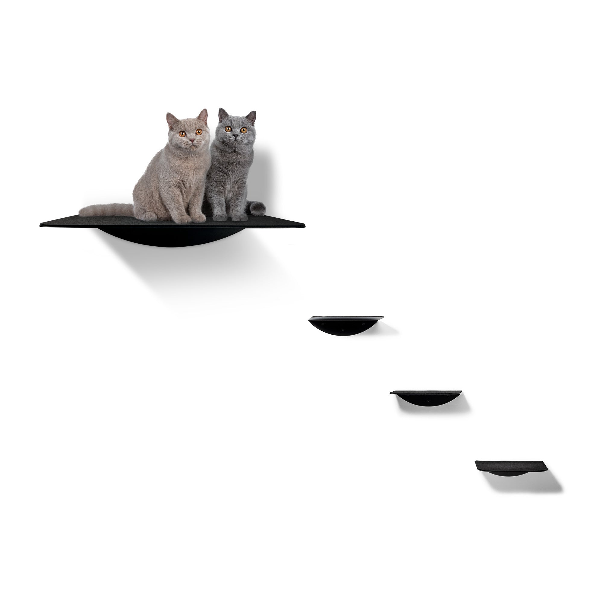 STYA Katzen Kletterwand | Set Minimalist Wandliege XXL | Linie WL100