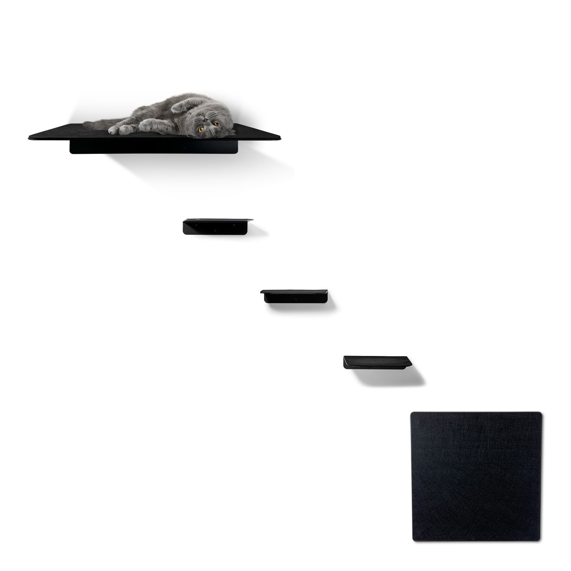 STYA Katzen Kletterwand | Set Eleganz Wandliege XXL | Linie WL300