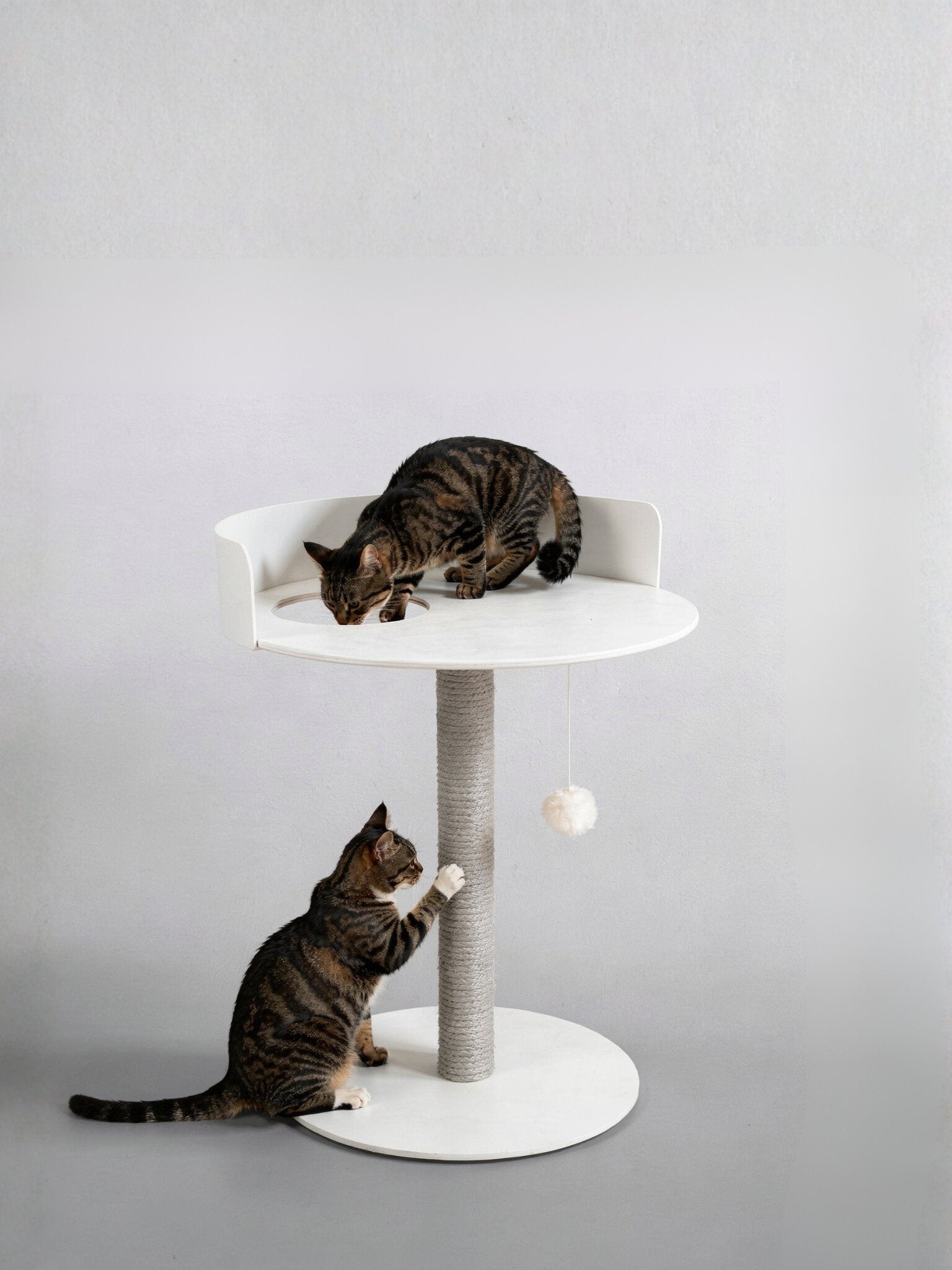 STYA Katzen Kratzbaum MS510 | Weiß