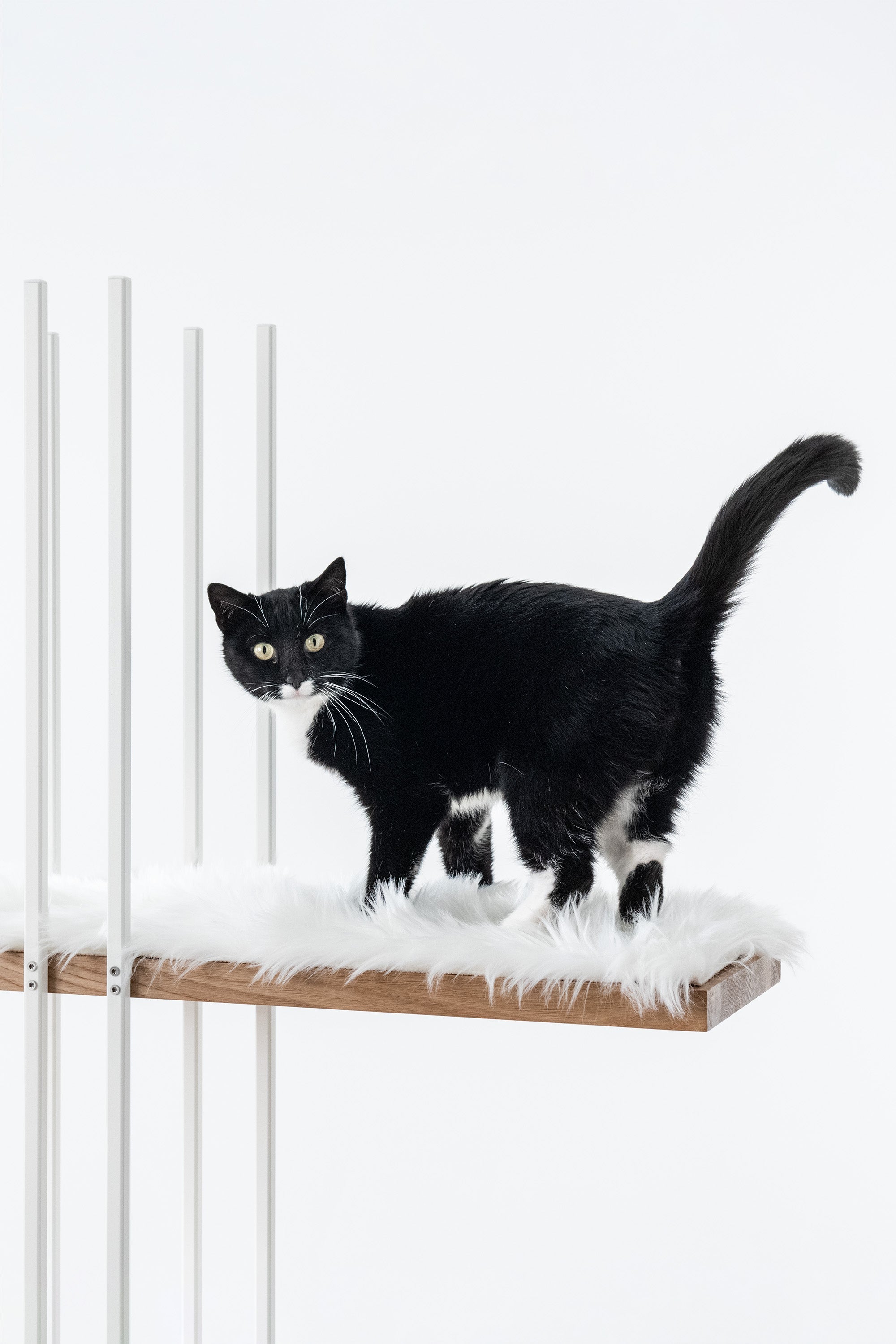 STYA Katzen Kratzbaum MS220 Weiß