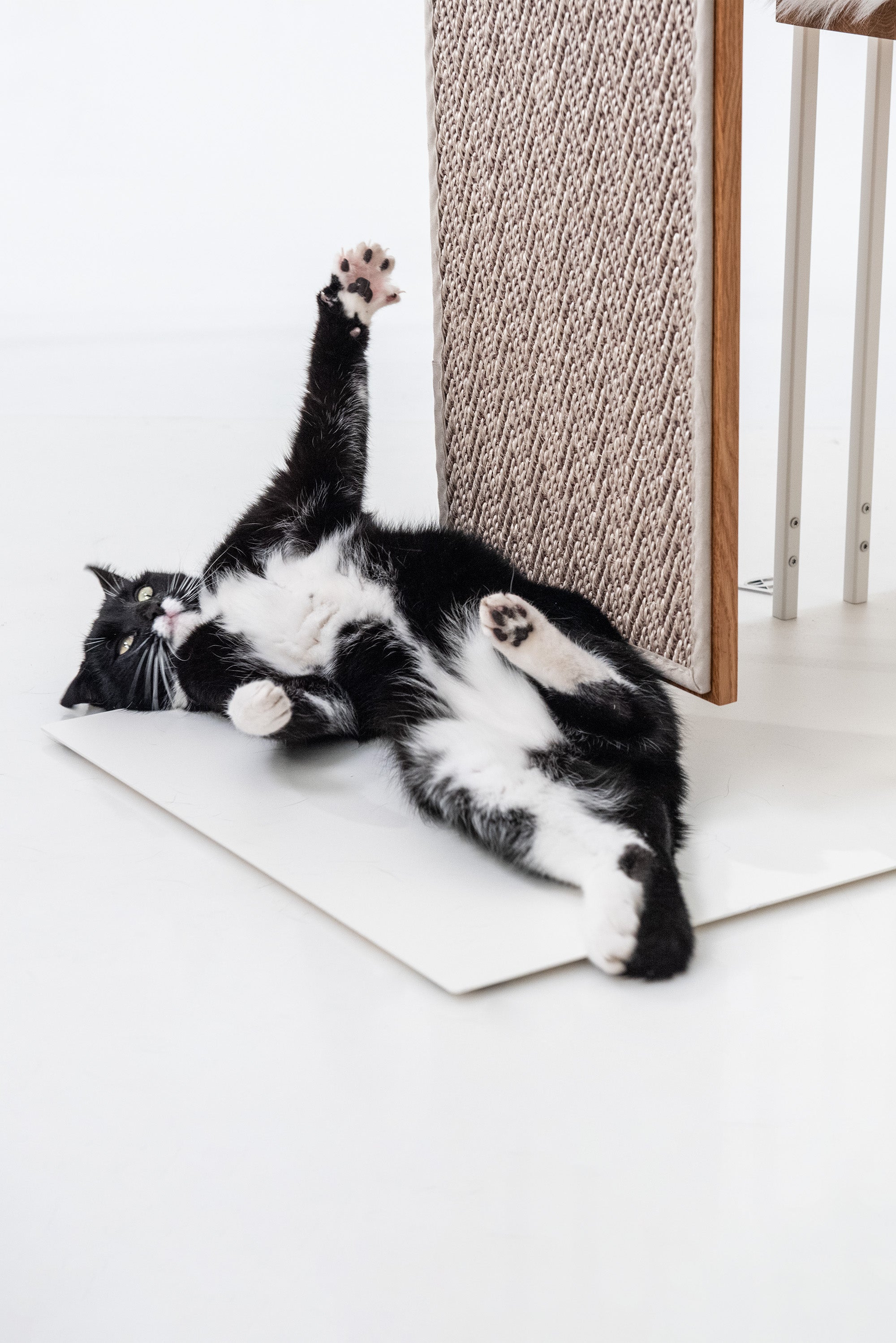 STYA Kratzfläche Sisal | Weiß Muster | Für Katzen Kratzbäume Linie MS200