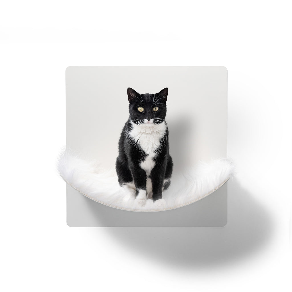 STYA Katzen Kletterwand | Hängematte WL310