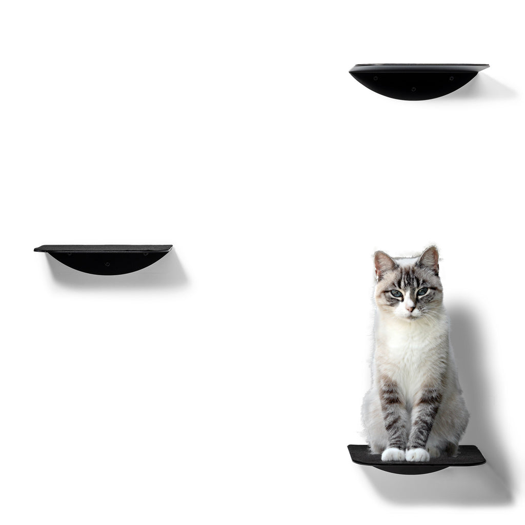 STYA Katzen Kletterwand | Set Galerie | Linie WL100