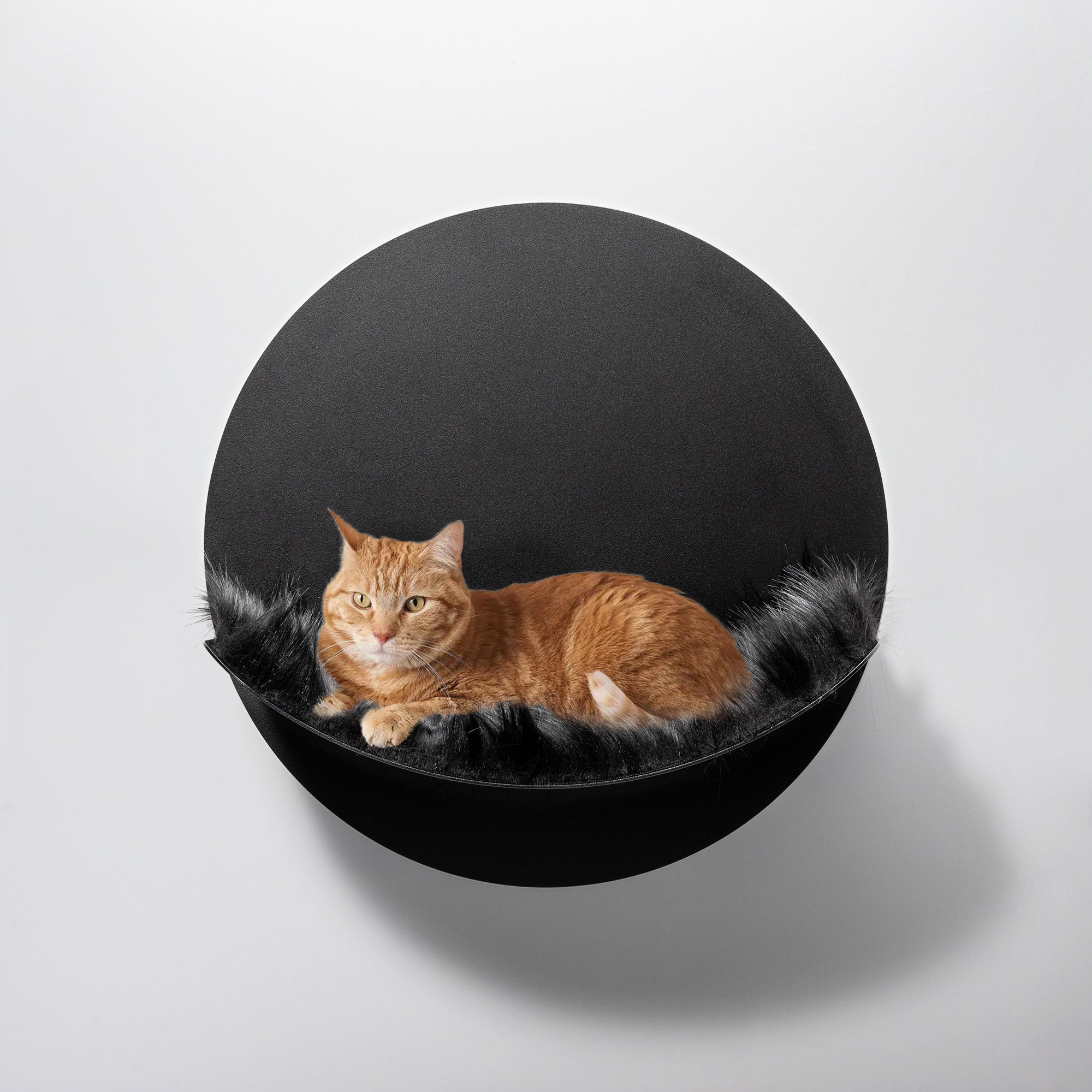 katze in hängematte bilder Design Katzen Hängematte aus Metall, Katzenkletterwand