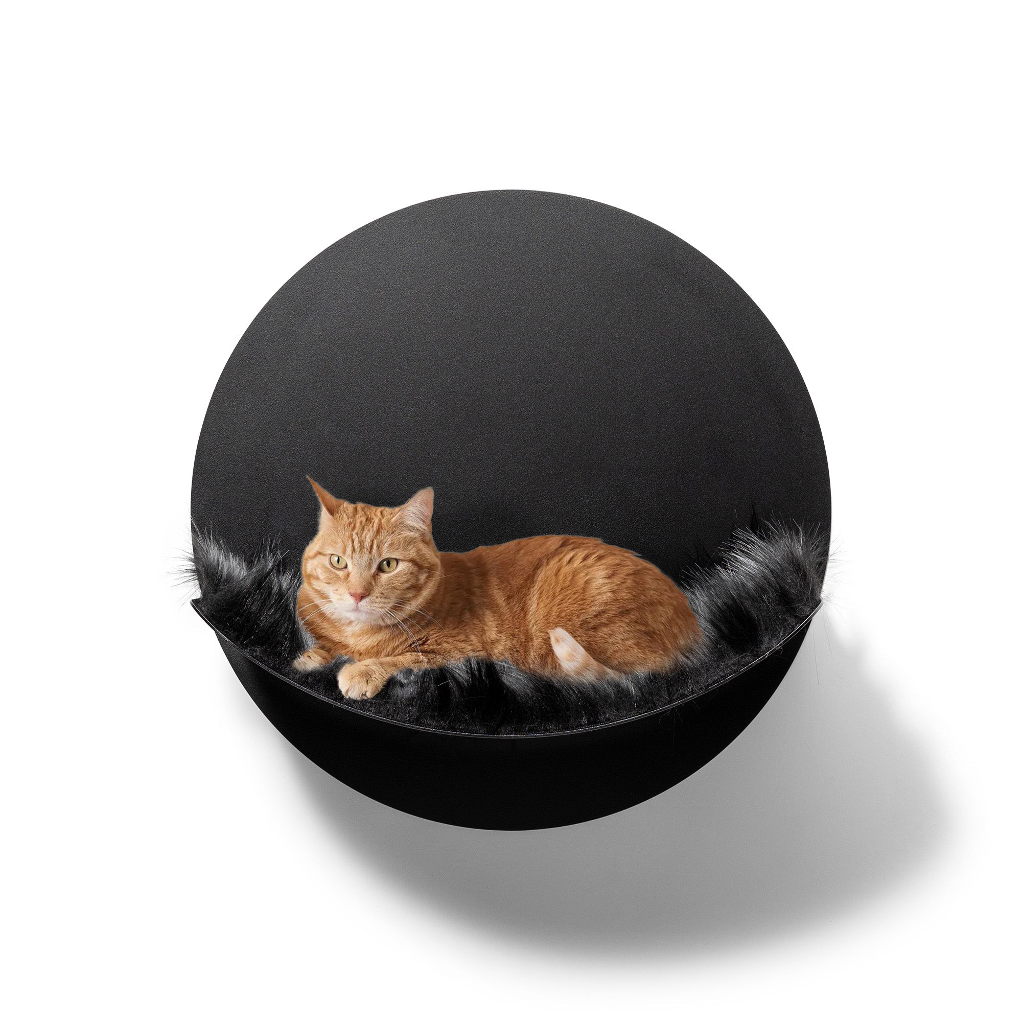 STYA Katzen Kletterwand | Set Galerie | Linie WL100