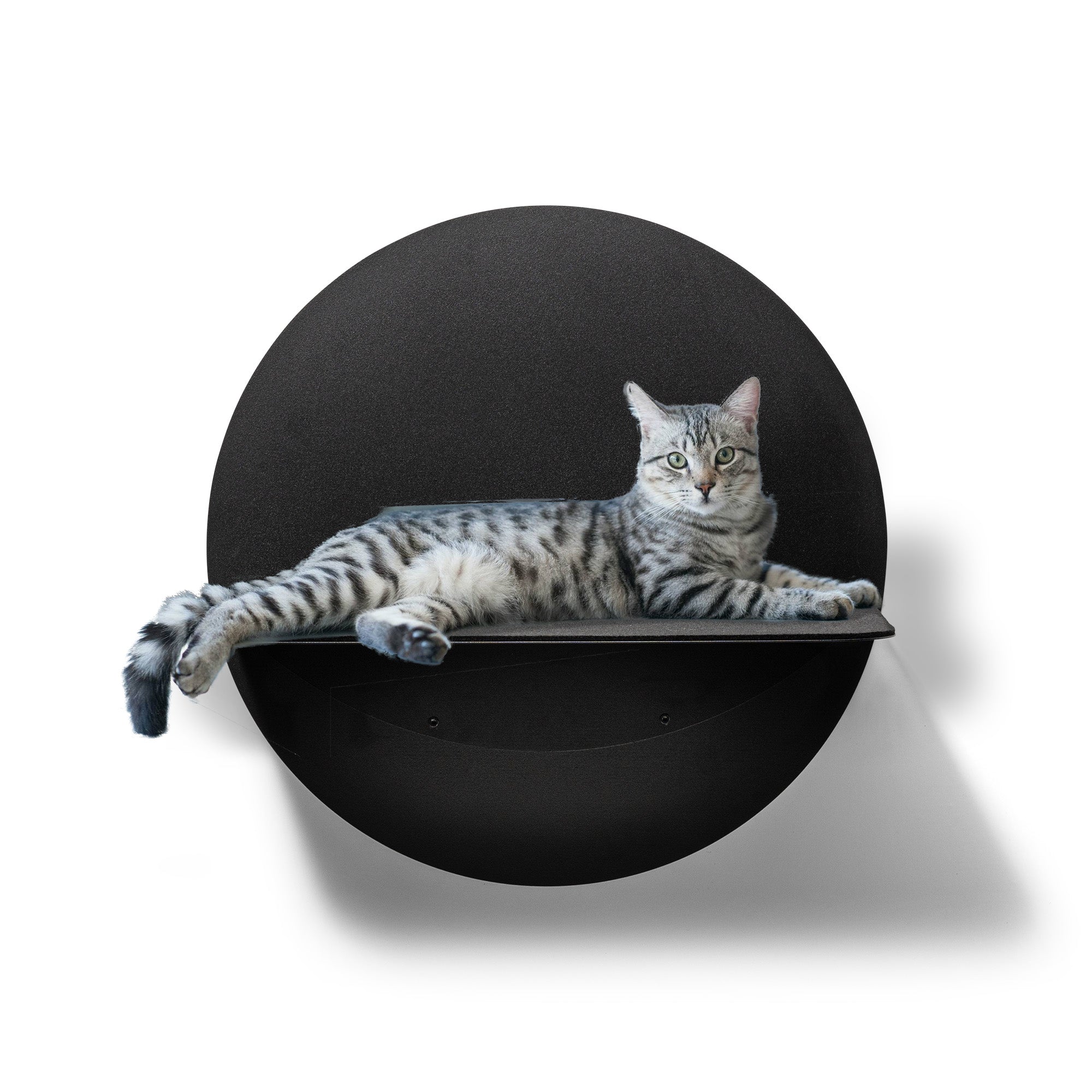 STYA Katzen Kletterwand | Set Galerie | Linie WL100