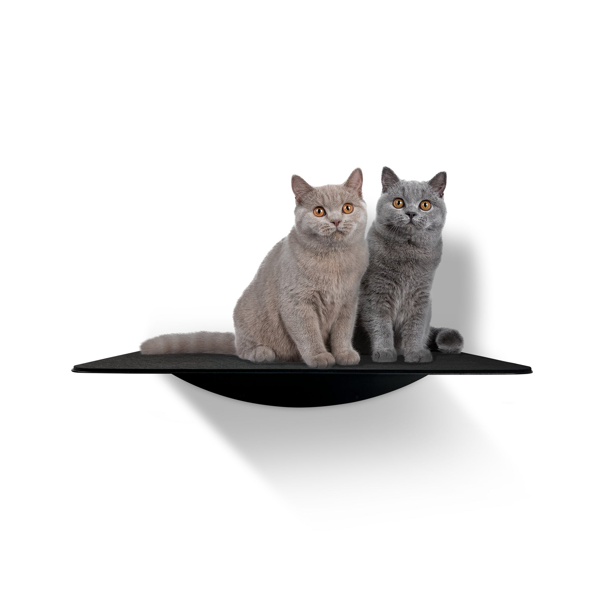 STYA Katzen Kletterwand | XXL Wandliege WL180