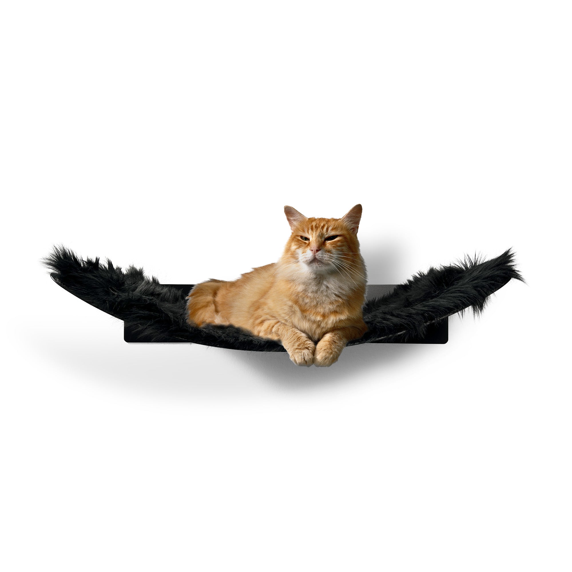katzen hängematte xxl Design Katzen Hängematte WL 370, Maine Coon, XXL, aus Metall, Katzenkletterwand