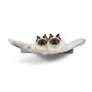 katzen hängematte xxl Design Katzen Hängematte WL 370, Maine Coon, XXL, aus Metall,  Katzenkletterwand