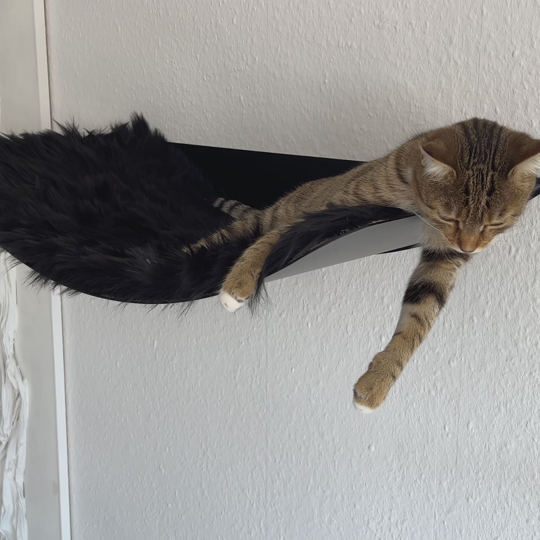 STYA Katzen Kletterwand | XXL Hängematte WL170
