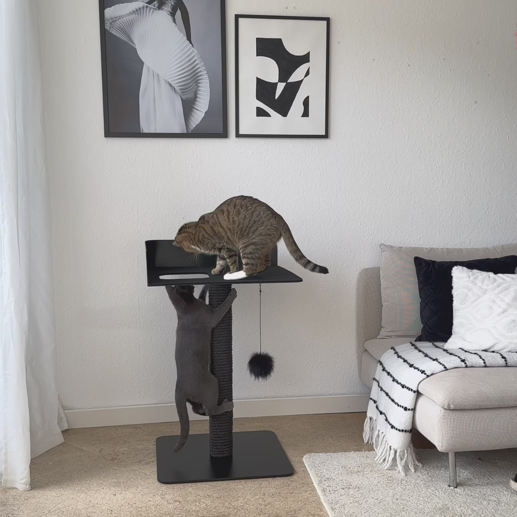 STYA Katzen Kratzbaum MS520 | Schwarz