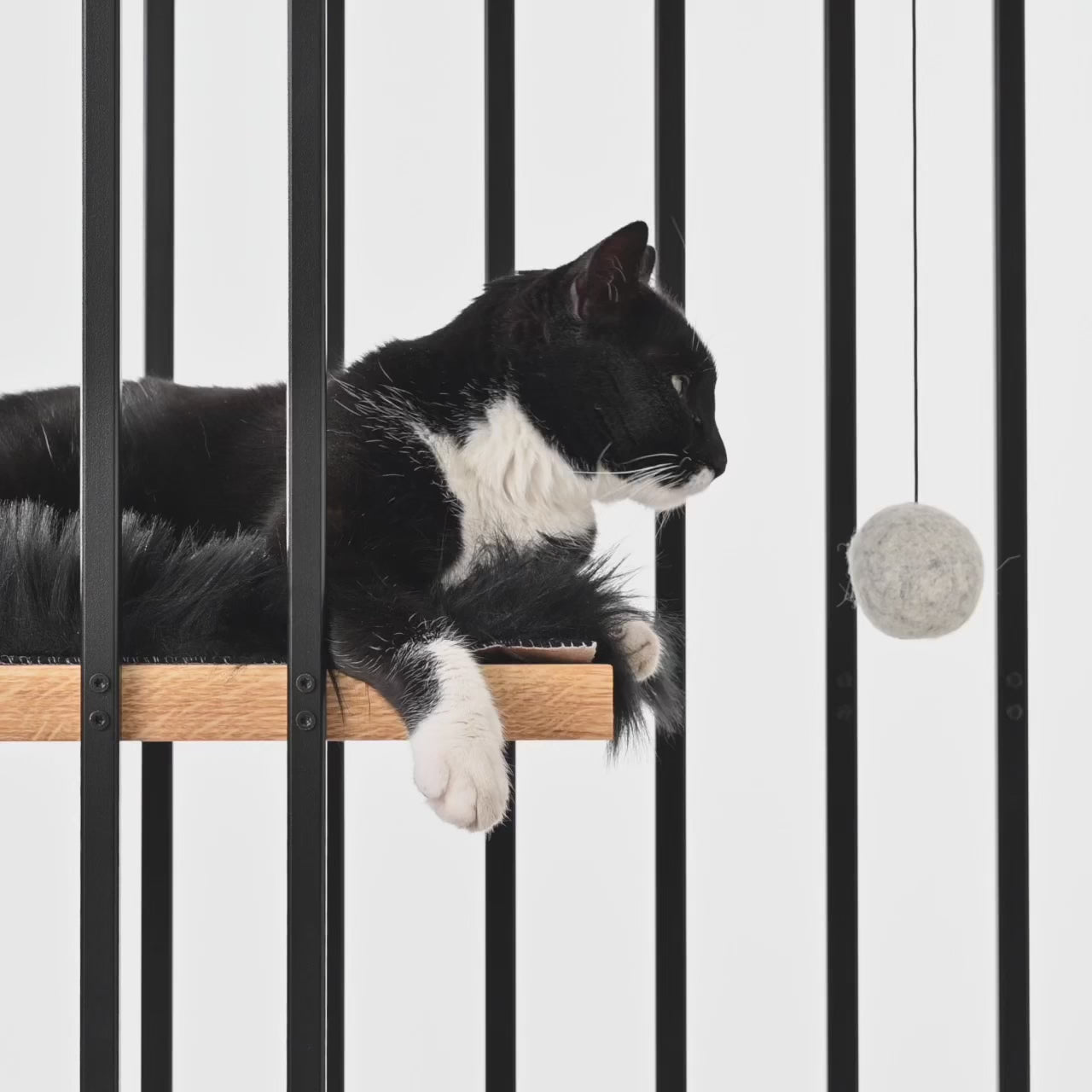 STYA Katzen Spielzeug SN4 | Weiß
