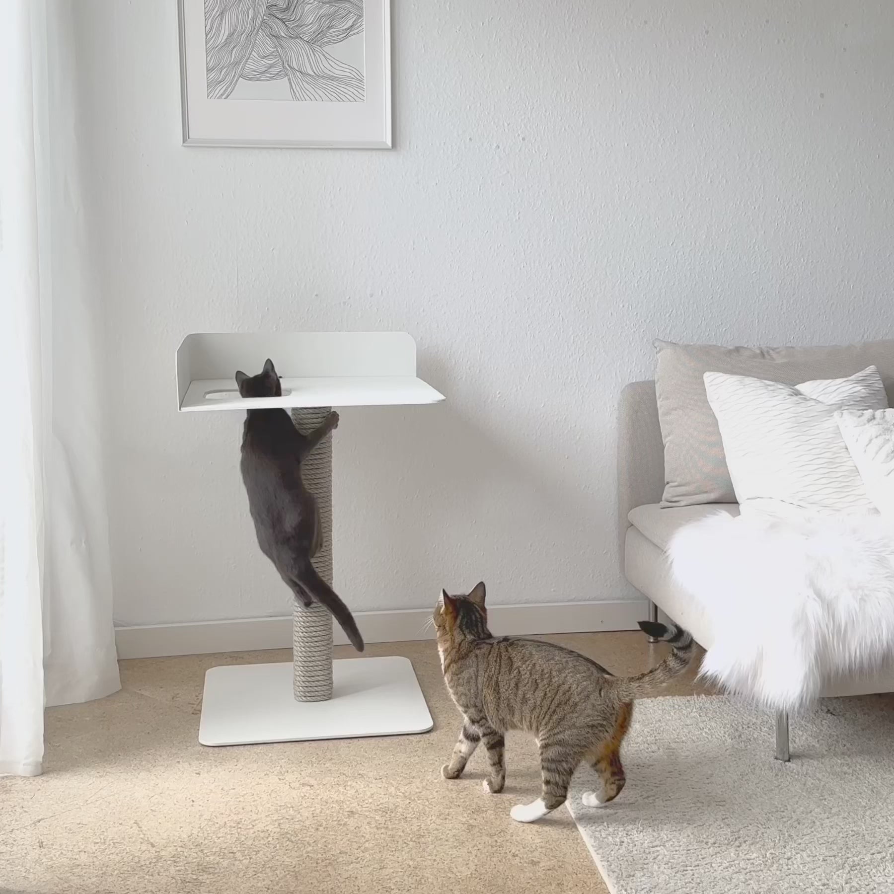 STYA Katzen Kratzbaum MS520 | Weiß