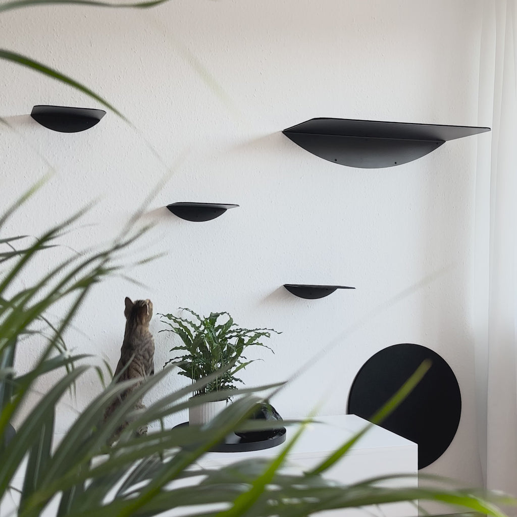 STYA Katzen Kletterwand | Set Eleganz Wandliege XXL | Linie WL100