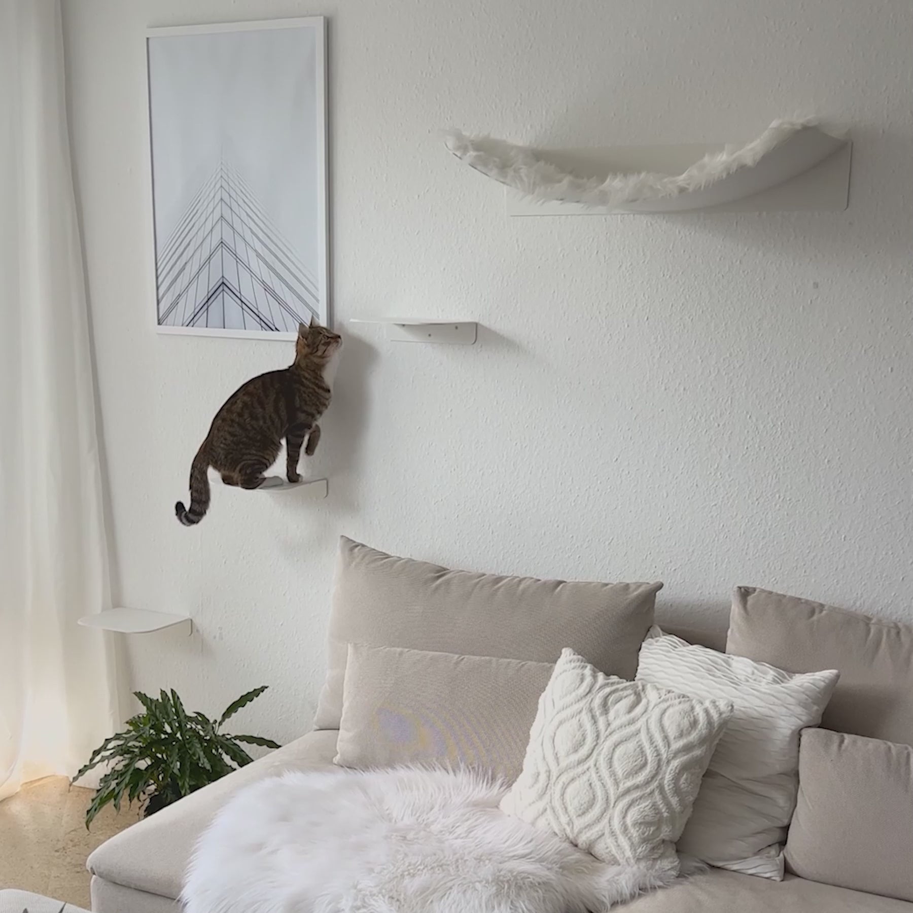 STYA Katzen Kletterwand | Set Minimalist Hängematte XXL | Linie WL300