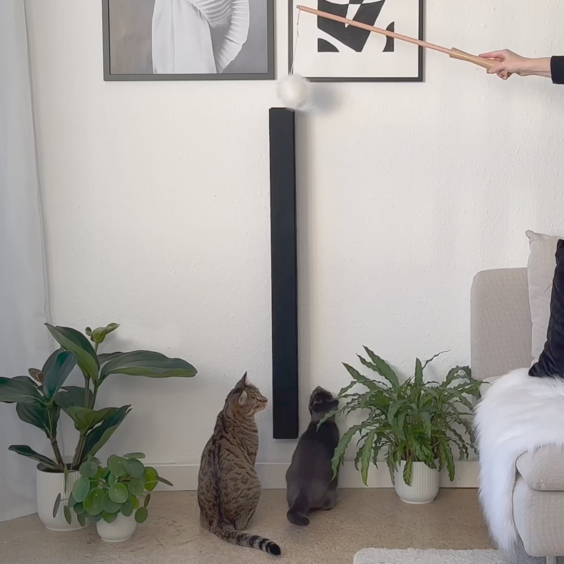 STYA Katzen Kratzstamm KS100 | 100 cm