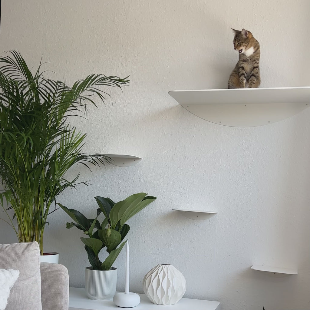 STYA Katzen Kletterwand | Set Minimalist Wandliege XXL | Linie WL100