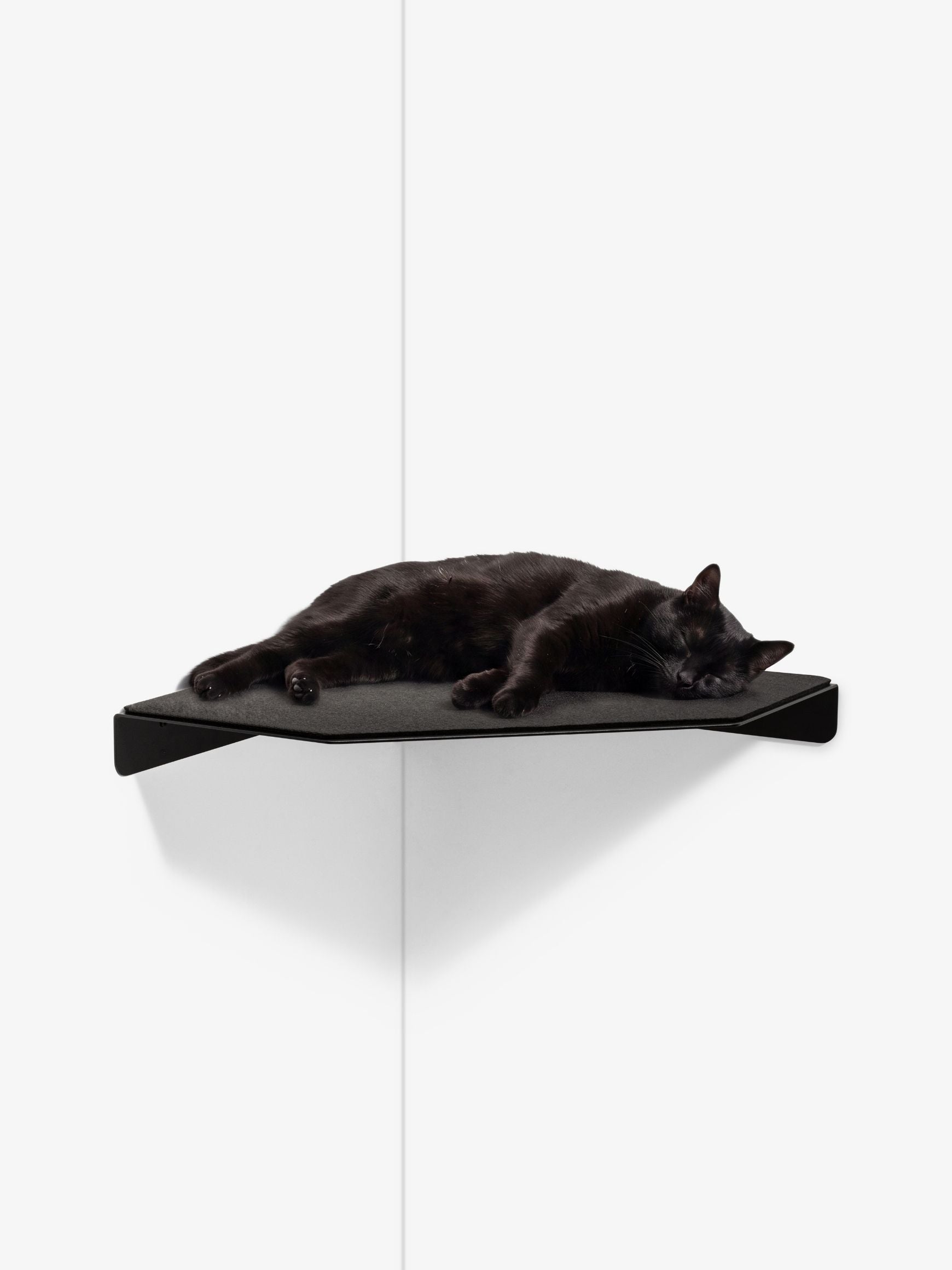 [KI-KATZE]