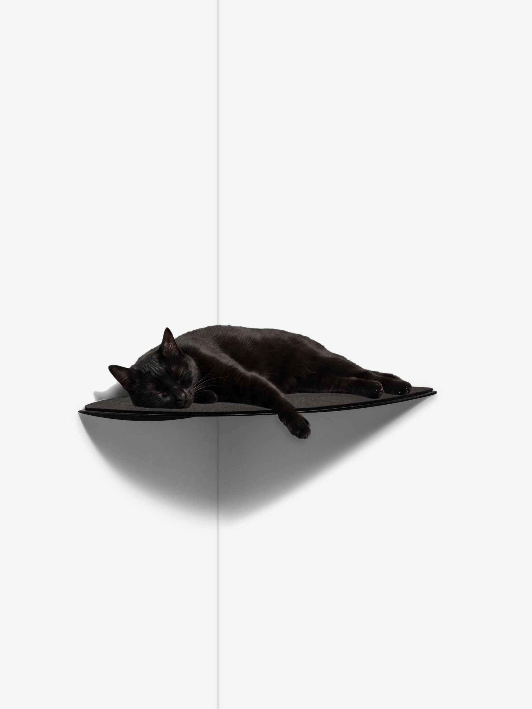 [KI-KATZE]