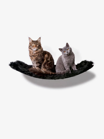 Design Katzen Hängematte WL 170, Maine Coon, XXL, aus Metall, Katzenkletterwand