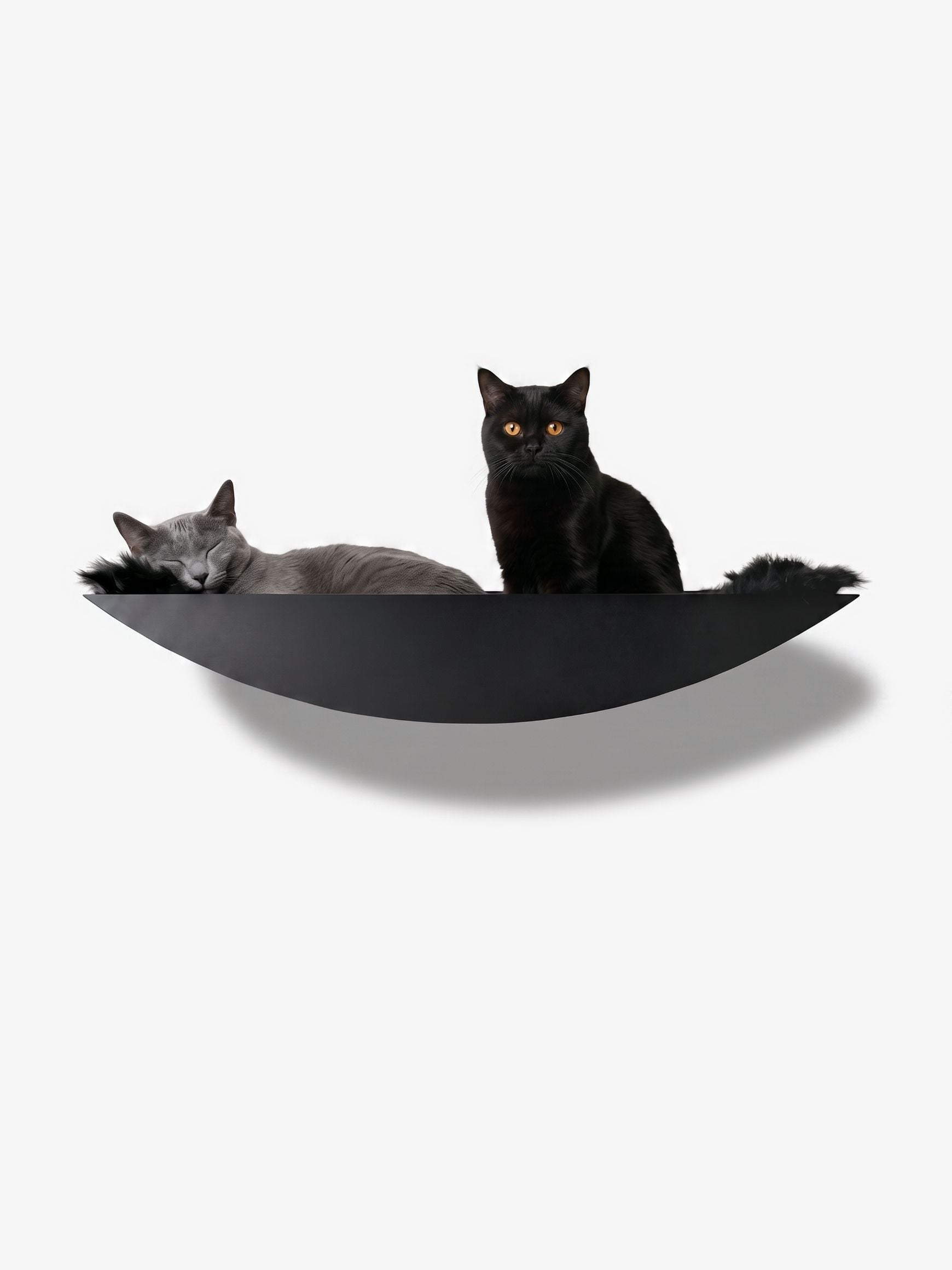 [KI-KATZE]