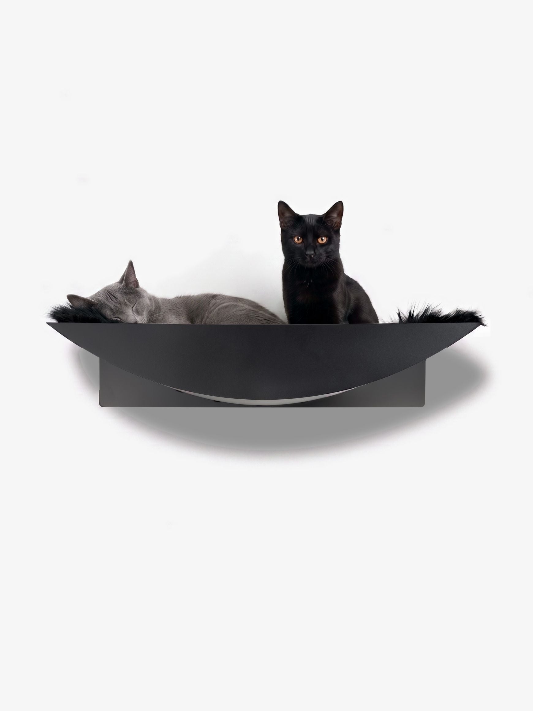 [KI-KATZE]