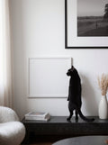 STYA Mur d'escalade pour chat | Griffoir KF330