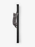 [KI-KATZE]