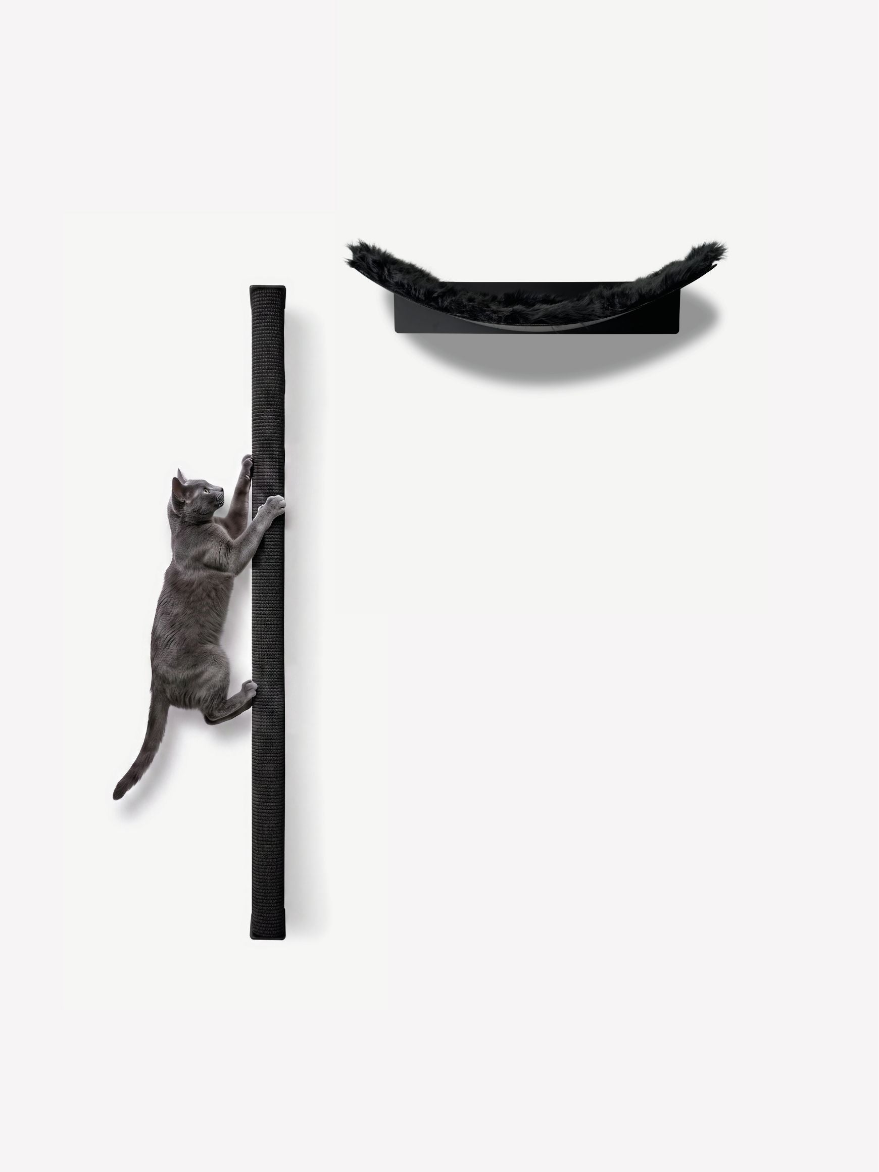[KI-KATZE]