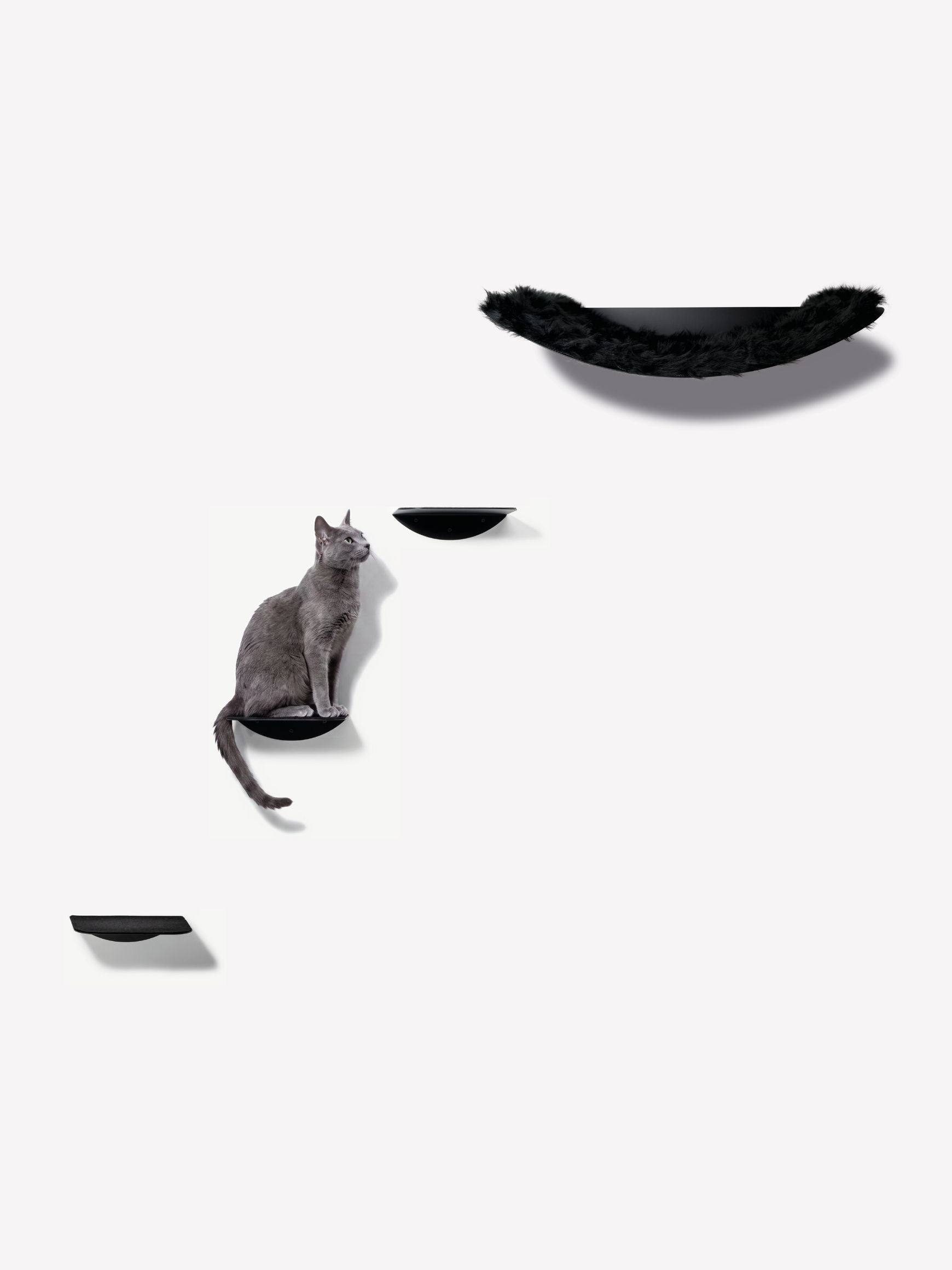 [KI-KATZE]