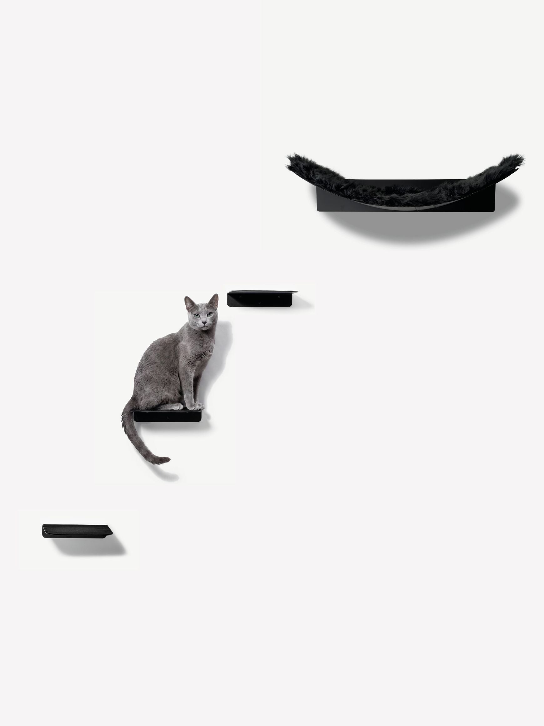 [KI-KATZE]