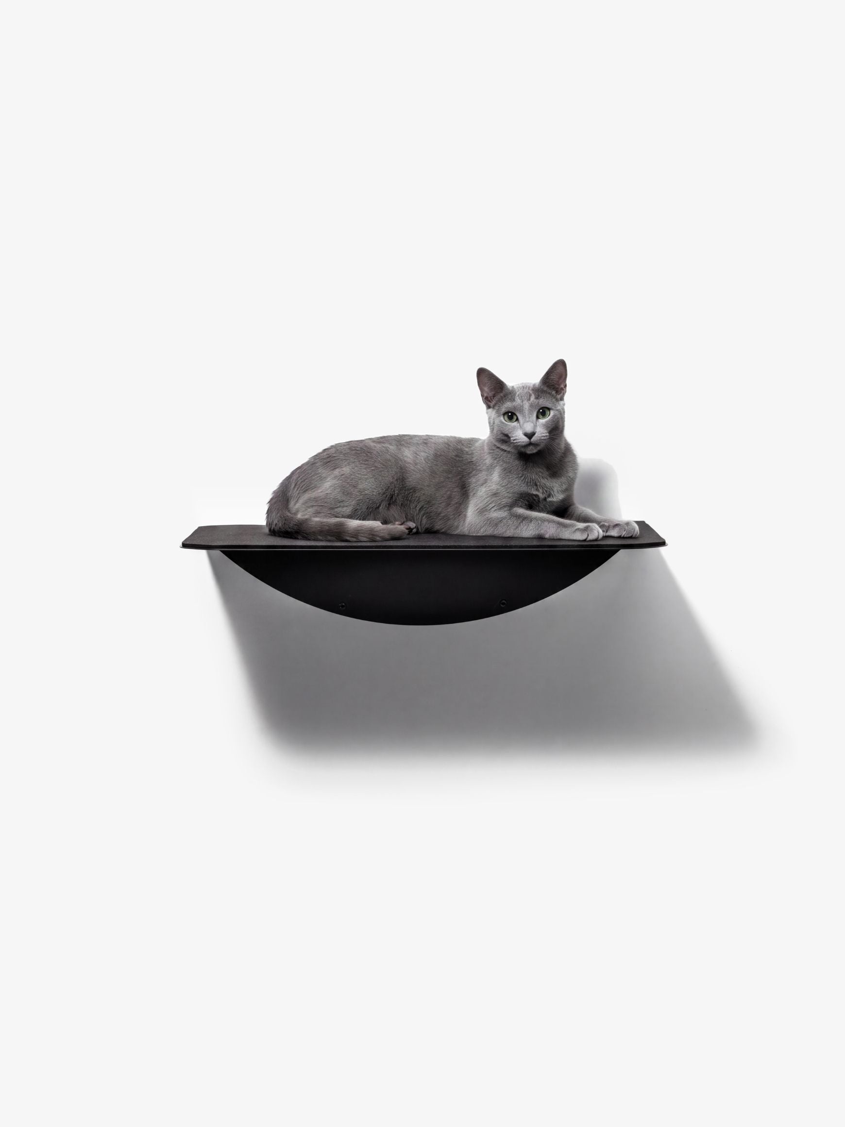 [KI-KATZE]