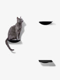 [KI-KATZE]