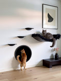 STYA Mur d'escalade pour chats | Ensemble élégance Hamac XXL | Ligne WL100