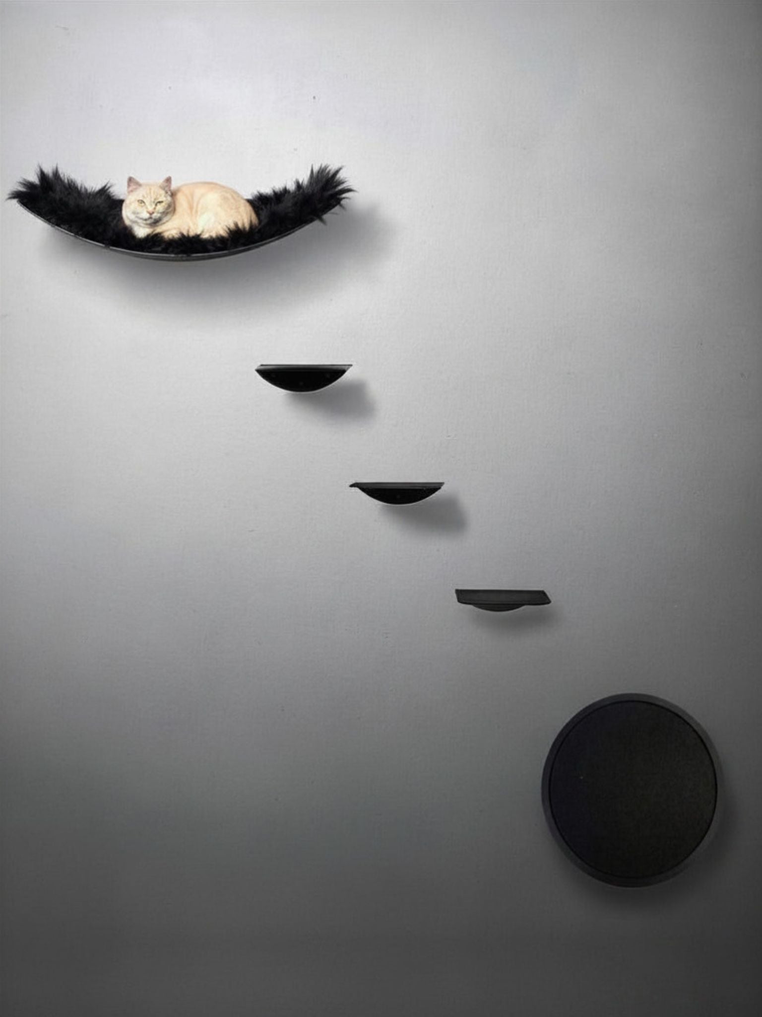 STYA Katzen Kletterwand | Set Eleganz Hängematte XXL | Linie WL100