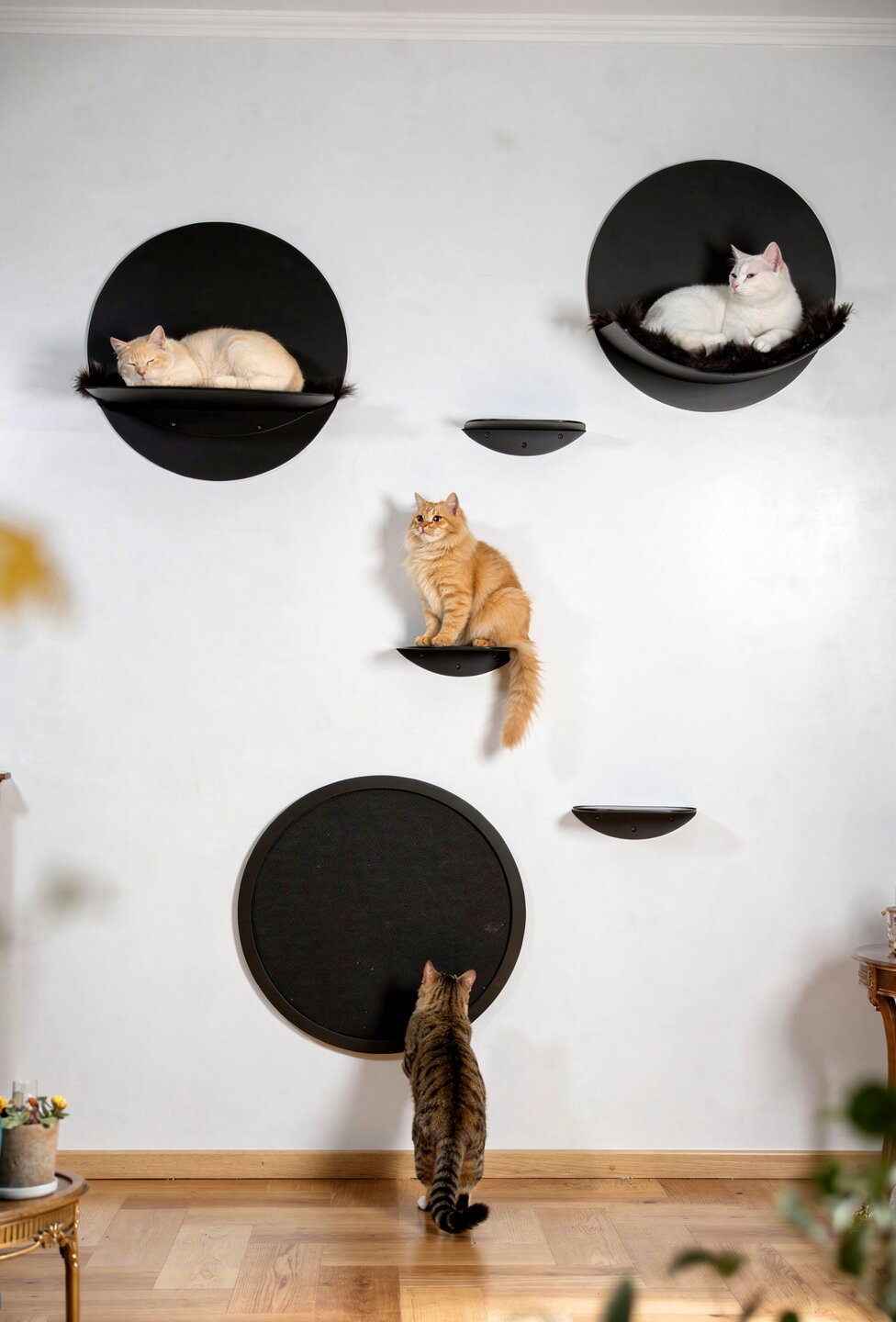 STYA Katzen Kletterwand | Set Galerie | Linie WL100