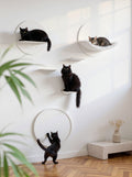 STYA Mur d'escalade pour chats | Galerie Set | Ligne WL100