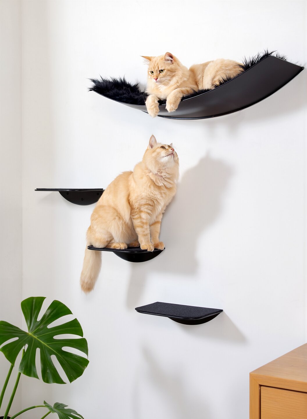 STYA Katzen Kletterwand | Set Minimalist Hängematte XXL | Linie WL100