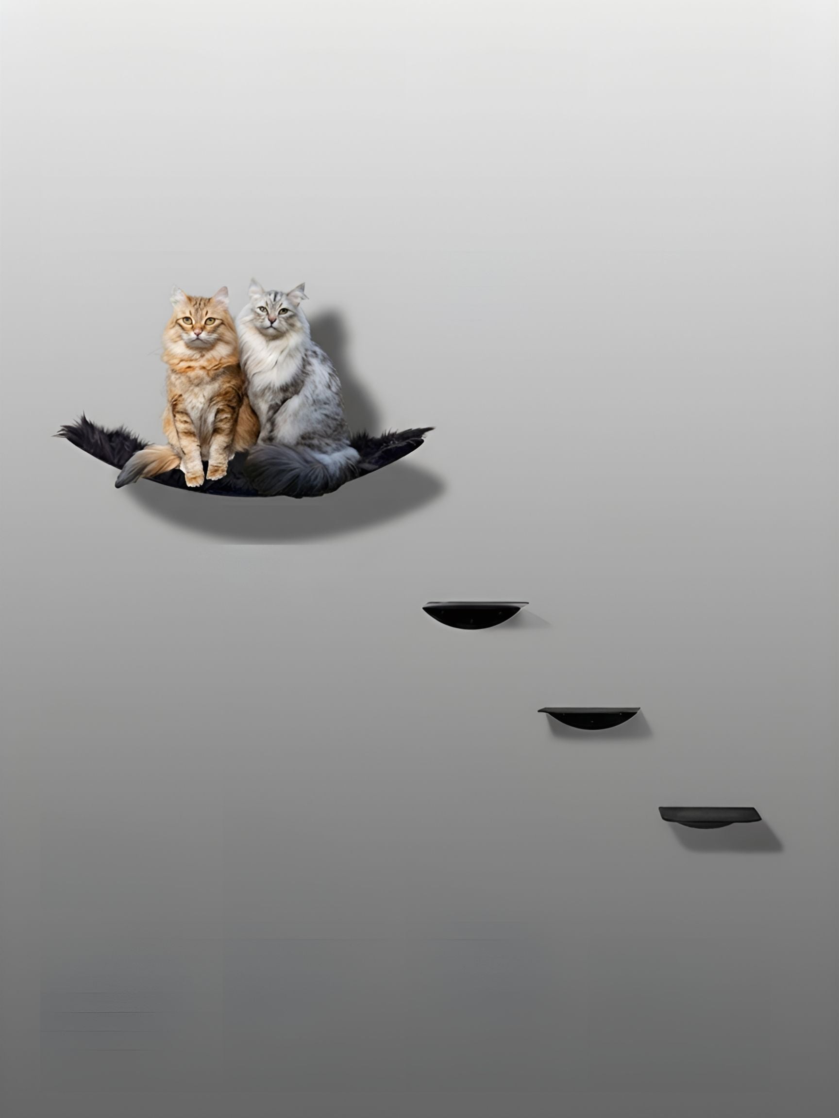 STYA Katzen Kletterwand | Set Minimalist Hängematte XXL | Linie WL100