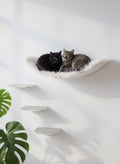 STYA Mur d'escalade pour chat | Hamac mural XXL minimaliste | Ligne WL100