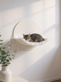 STYA Mur d'escalade pour chat | Hamac WL110