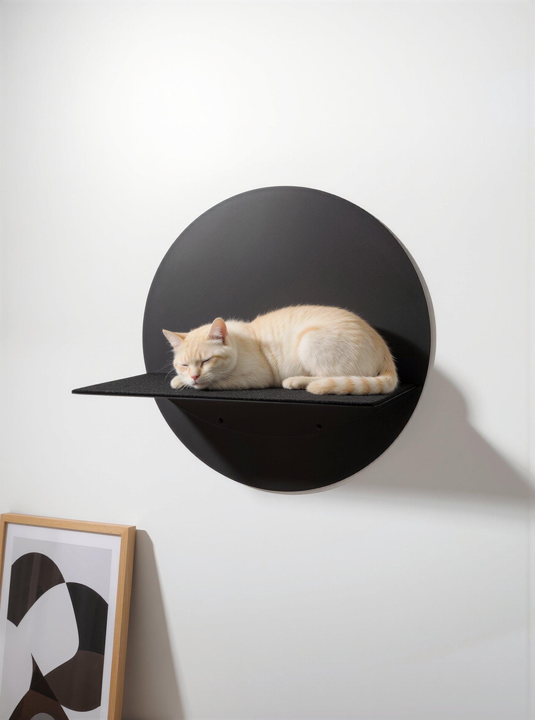 STYA Katzen Kletterwand | Wandliege WL120
