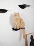 STYA Mur d'escalade pour chat | Escalier pour chat WL140 | Avec 3 marches