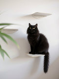 STYA Mur d'escalade pour chat | Escalier pour chat WL140 | Avec 3 marches