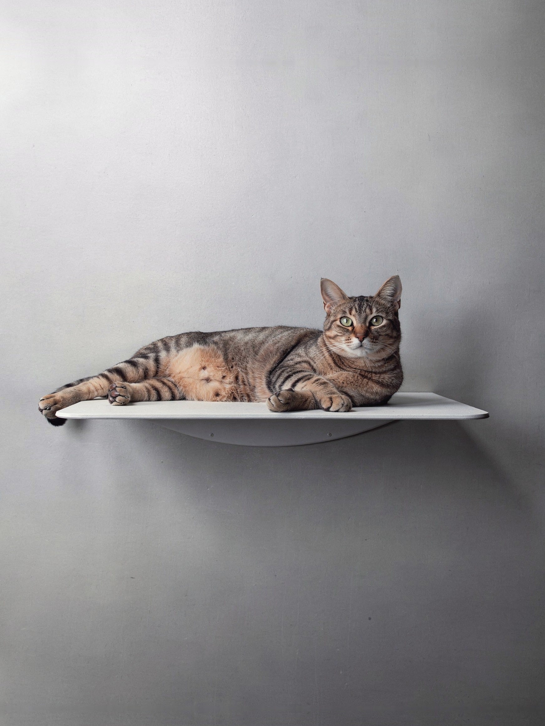 STYA Katzen Kletterwand | Wandliege WL150