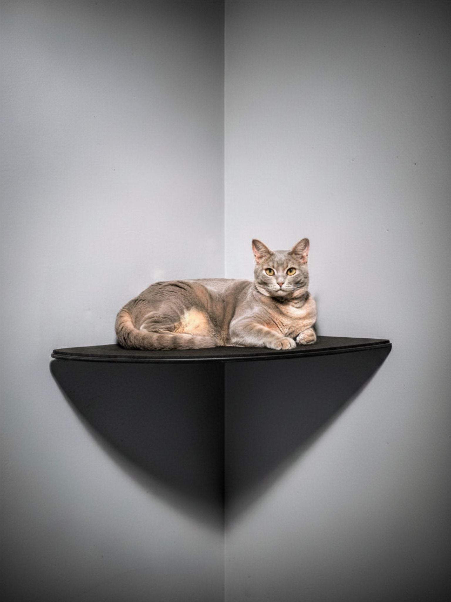 STYA Katzen Kletterwand | Eckliege WL160
